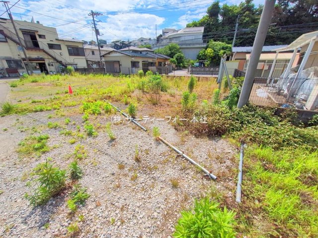 撮影日(2025-06-04 00:00:00)