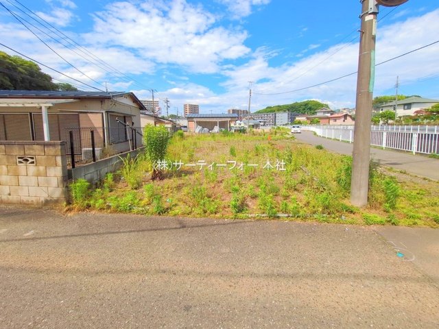 撮影日(2025-06-04 00:00:00)