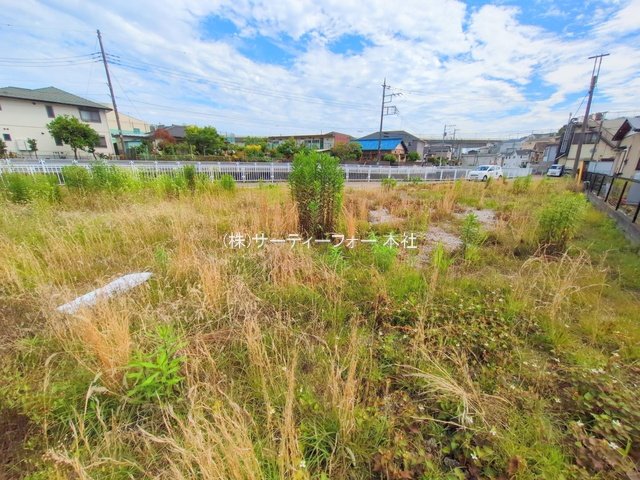 撮影日(2025-06-04 00:00:00)