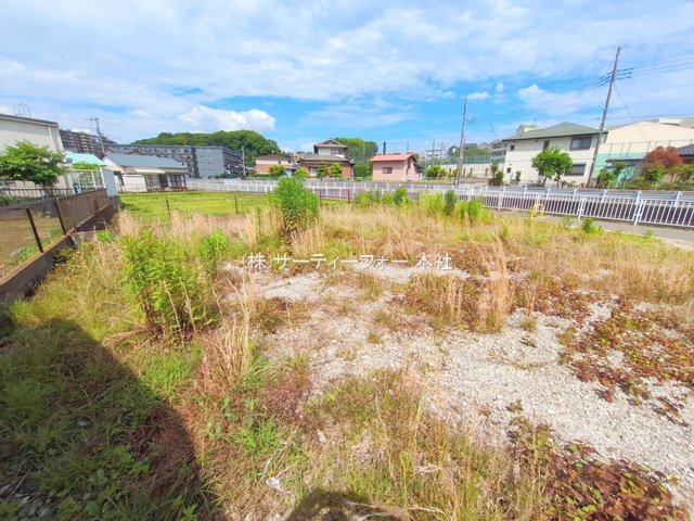 撮影日(2025-06-04 00:00:00)