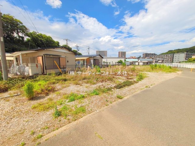 撮影日(2025-06-04 00:00:00)