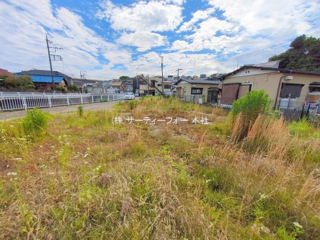撮影日(2025-06-04 00:00:00)