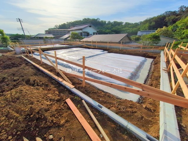 撮影日(2025-06-06 00:00:00)