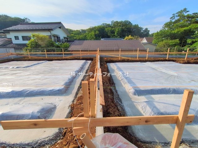 撮影日(2025-06-06 00:00:00)