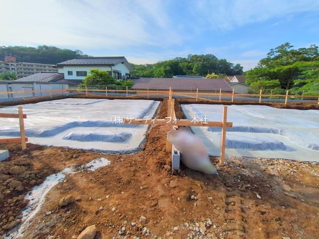 撮影日(2025-06-06 00:00:00)