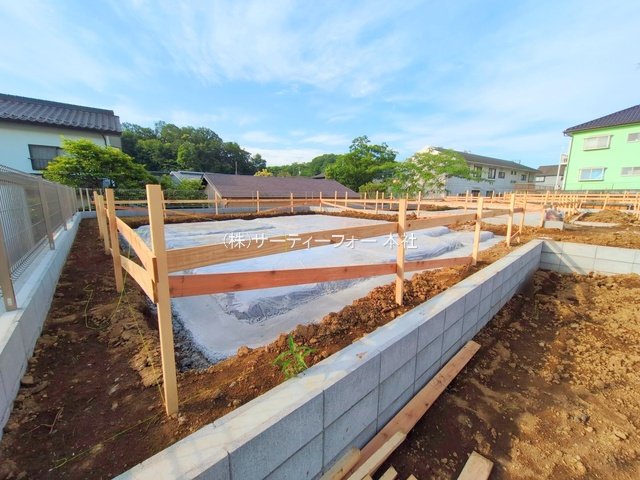 撮影日(2025-06-06 00:00:00)