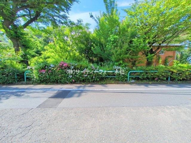 撮影日(2025-06-06 00:00:00)