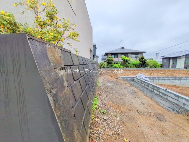 撮影日(2025-06-10 00:00:00)