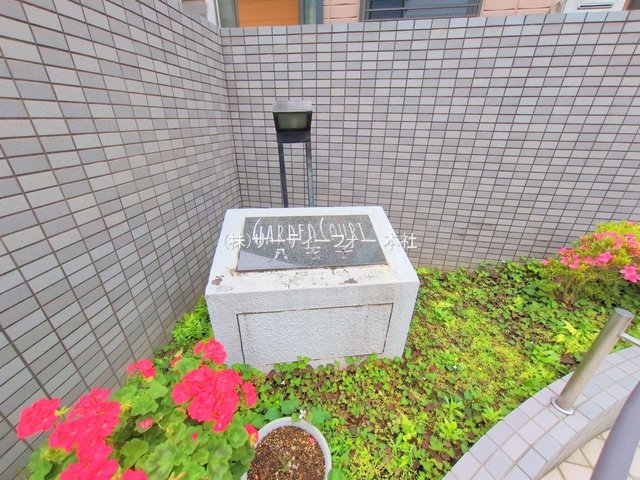 撮影日(2025-05-27 00:00:00)
