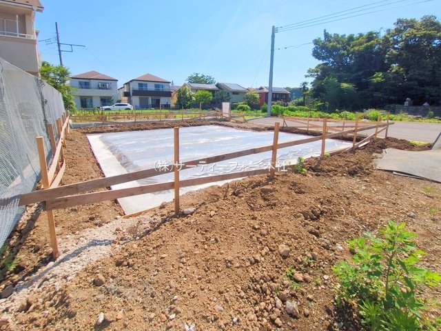 撮影日(2025-06-17 00:00:00)