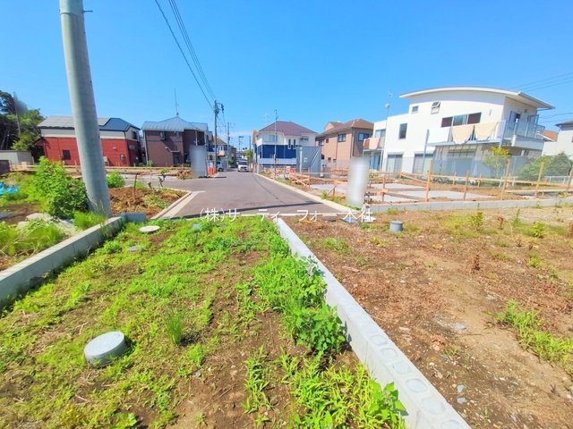 撮影日(2025-06-17 00:00:00)