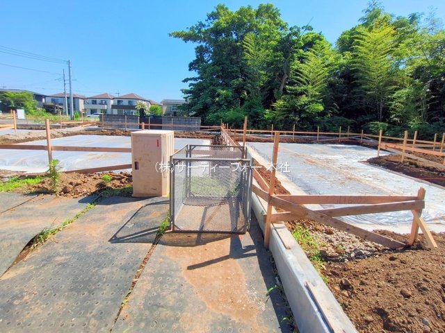 撮影日(2025-06-17 00:00:00)