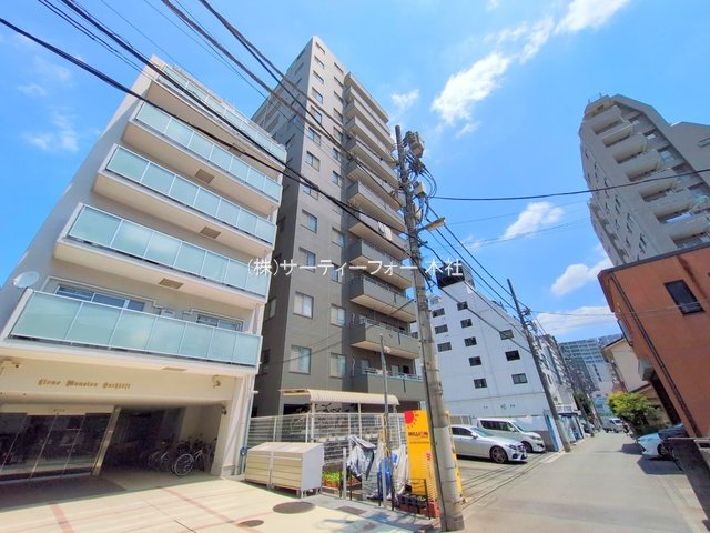 撮影日(2025-06-18 00:00:00)