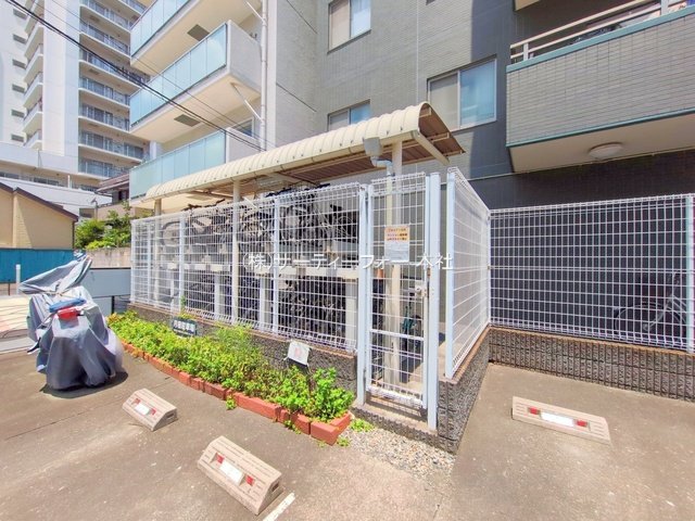 撮影日(2025-06-18 00:00:00)