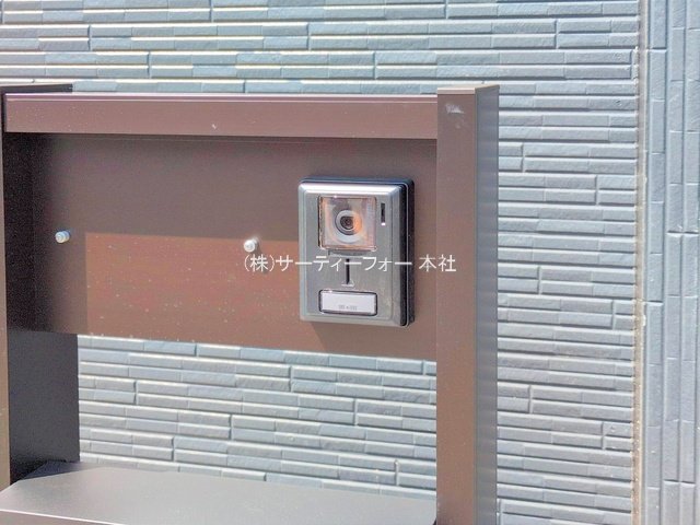 撮影日(2025-06-19 00:00:00)