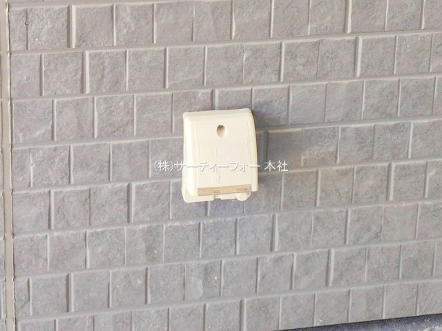 撮影日(2025-06-19 00:00:00)