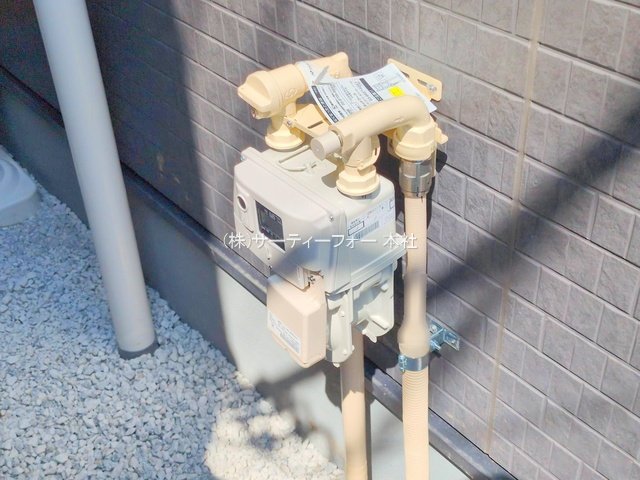 撮影日(2025-06-19 00:00:00)