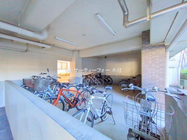 撮影日(2024-11-13 00:00:00)