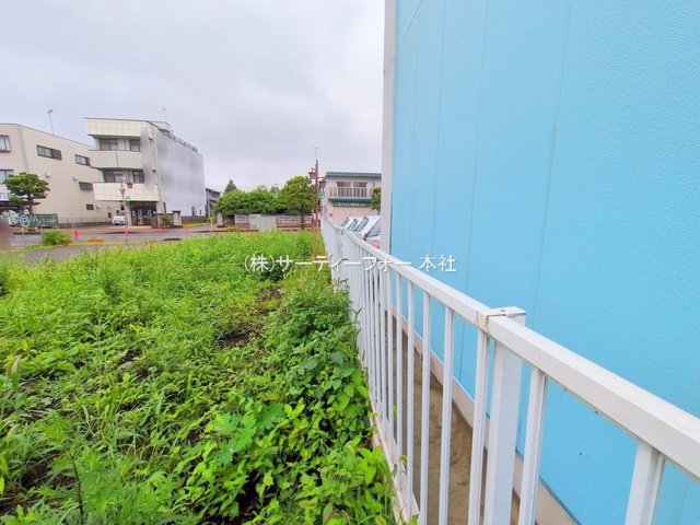 撮影日(2025-06-11 00:00:00)