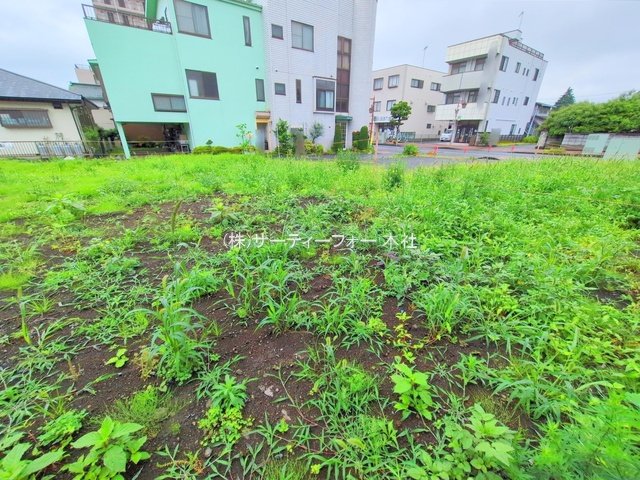 撮影日(2025-06-11 00:00:00)
