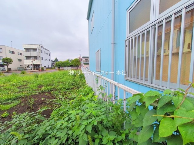 撮影日(2025-06-11 00:00:00)