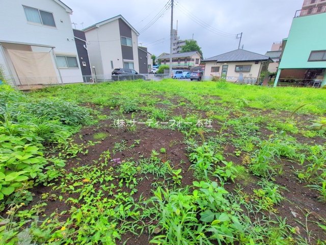 撮影日(2025-06-11 00:00:00)