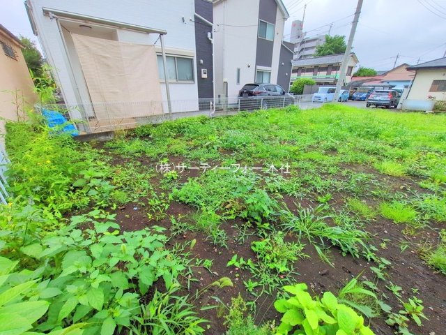 撮影日(2025-06-11 00:00:00)