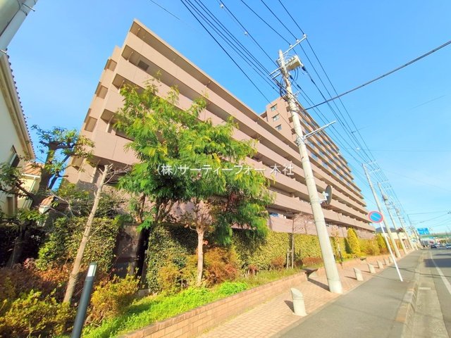 撮影日(2024-12-11 00:00:00)