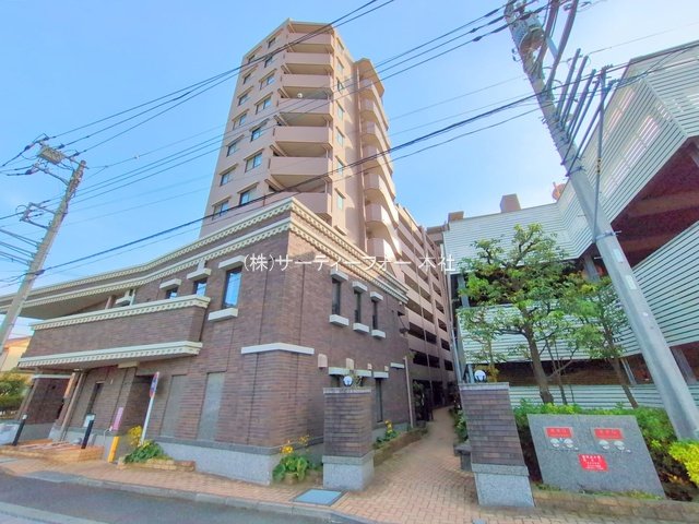 撮影日(2024-12-11 00:00:00)