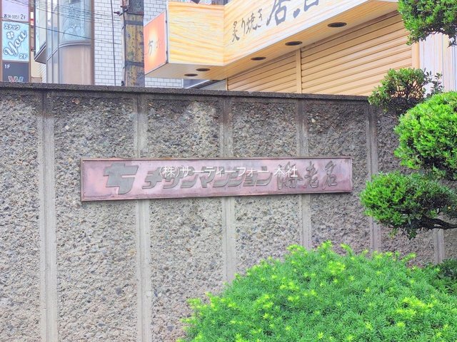撮影日(2025-06-10 00:00:00)