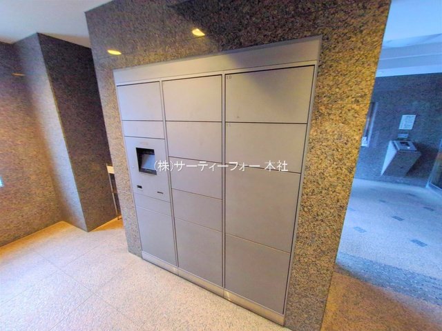 撮影日(2025-06-10 00:00:00)