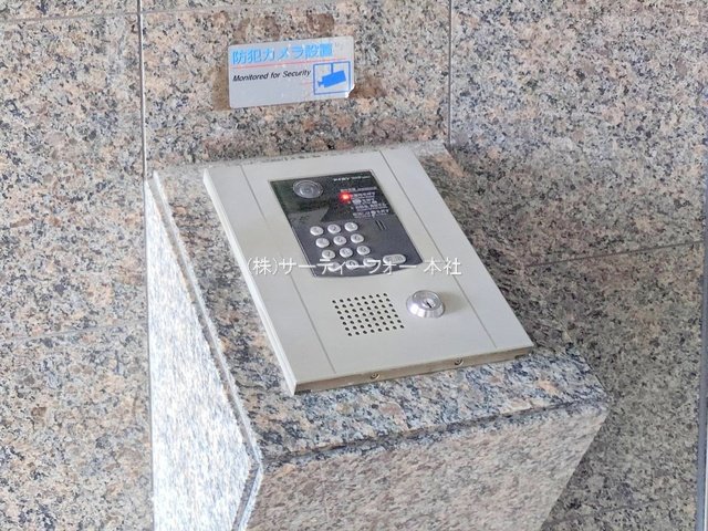 撮影日(2025-06-10 00:00:00)