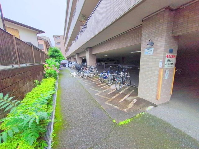 撮影日(2025-06-10 00:00:00)