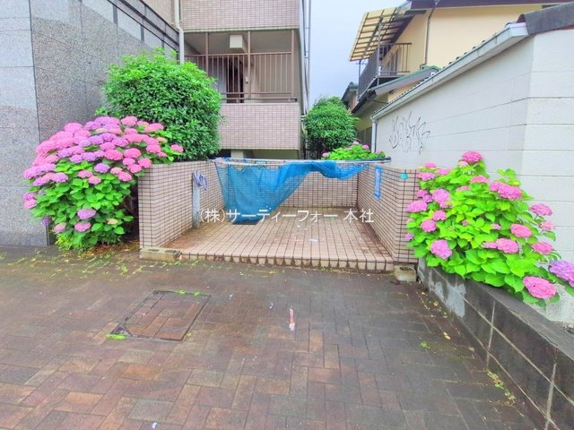撮影日(2025-06-10 00:00:00)