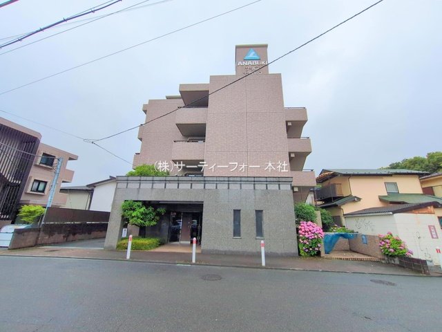 撮影日(2025-06-10 00:00:00)