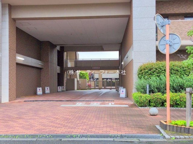 撮影日(2025-06-11 00:00:00)