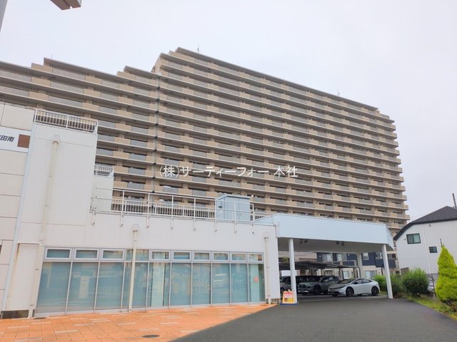 撮影日(2025-06-11 00:00:00)