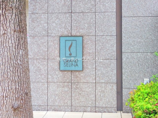 撮影日(2025-06-11 00:00:00)