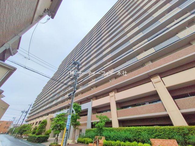 撮影日(2025-06-11 00:00:00)