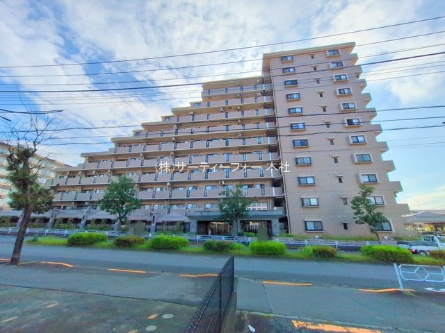 撮影日(2025-06-12 00:00:00)