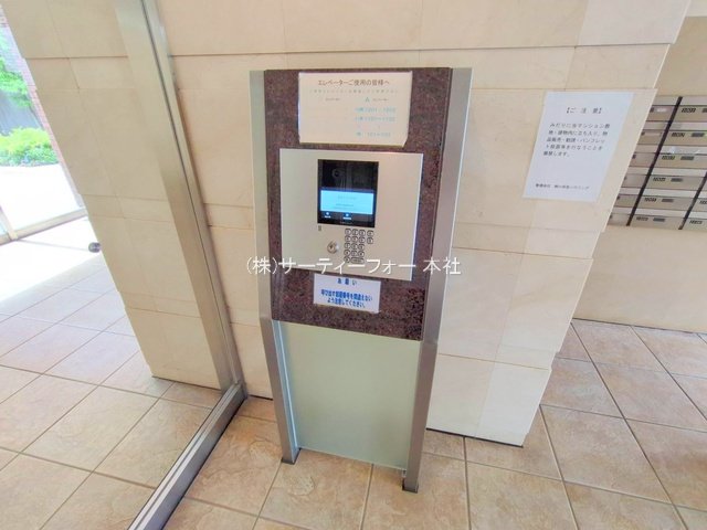 撮影日(2025-06-12 00:00:00)