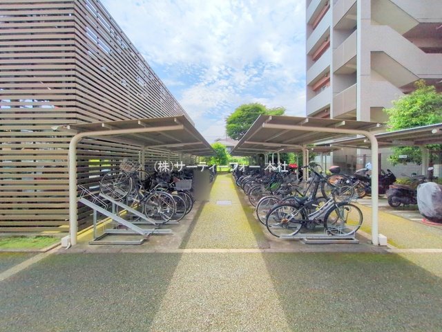撮影日(2025-06-12 00:00:00)