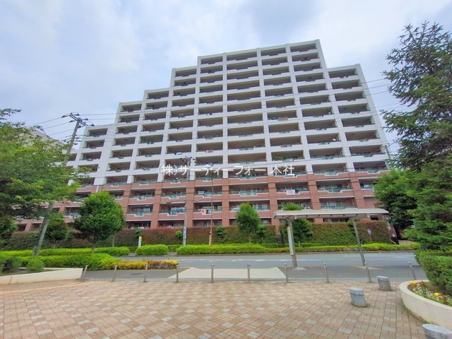 撮影日(2025-06-13 00:00:00)