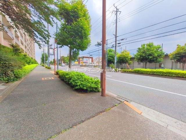 撮影日(2025-06-13 00:00:00)