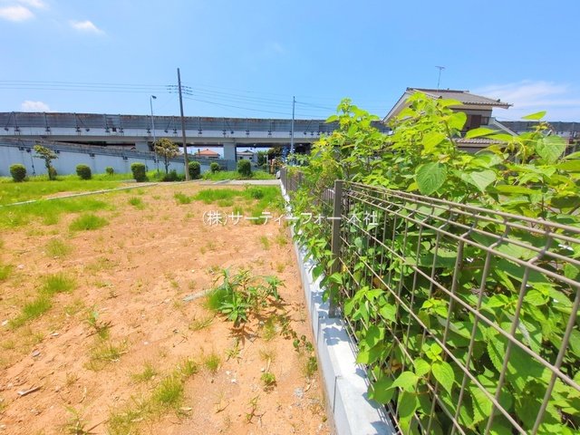撮影日(2025-06-19 00:00:00)