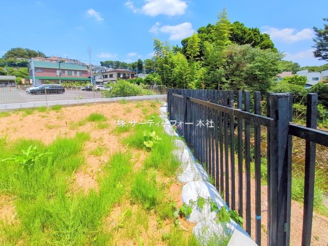 撮影日(2025-06-19 00:00:00)