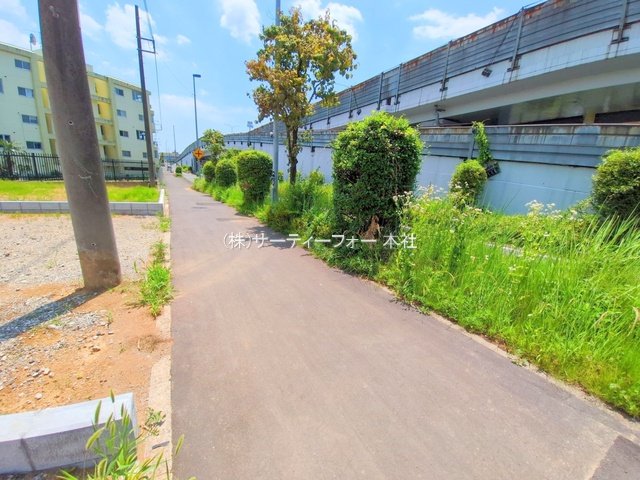 撮影日(2025-06-19 00:00:00)