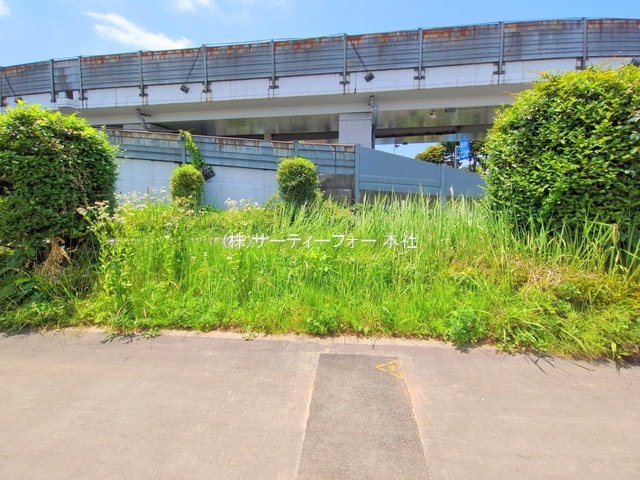 撮影日(2025-06-19 00:00:00)