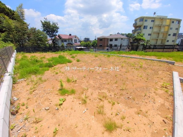 撮影日(2025-06-19 00:00:00)