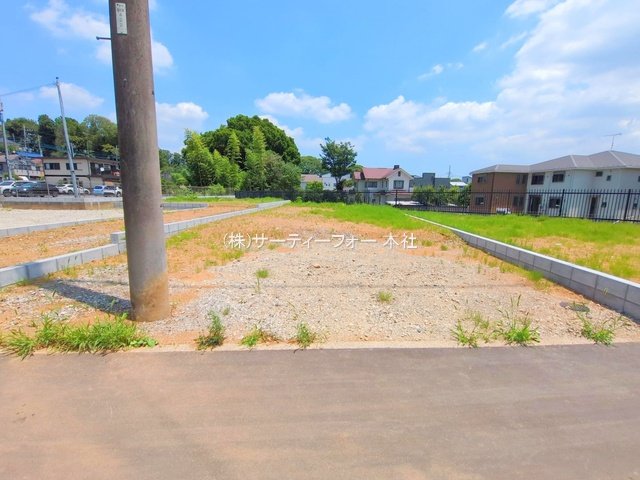 撮影日(2025-06-19 00:00:00)